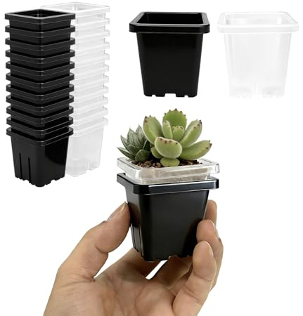 FEZEDA 2 Inch 24Pcs Square Plant Nursery Pots Black and Clear, Seedling Planter Seed Starter Pots, Sturdy Small Plastic Pots with Drainage Holes