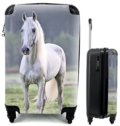 MuchoWow© Koffer Handgepäck Trolley Rollkoffer Kleine Reisekoffer mit 4 Rollen - Pferd - Licht - Morgen - Cabin Size < 55x40x23 & 55x40x20 cm - Fotokoffer - Kabinenkoffer - Boardgepäck