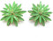 Pendientes Cristales Facetados de Colores Mujer Fiesta Boda Pendientes Brillantes con Forma de Flor Chapado en Oro, Verde Lima