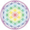Saraswati Aufkleber Set 4x4,5cm 'Blume des Lebens' Regenbogen-Chakra transparent Vinyl Sticker