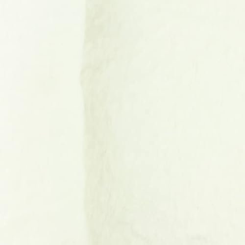 Teddy Plüsch CHRISTIAN von Stofftreff Santi®-Baumwollkrimmer-100% Baumwolle-ca. Breite 150 cm-ca. Gewicht 325 g/QM-Teddystoff als Meterware (Natur-Teddy-CHRISTIAN)