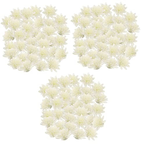 COHEALI 300 STK Blumen Der Aromatherapie Diffusor Für Ätherische Öle Blumenduft Diffusor Blumenzerstäuber Für Ätherische Öle Aroma Chrysantheme Auto Bling Zubehör Holz Lotus Weiß Künstlich