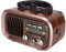 Portable Vintage Radio Speaker, 3 Bands Multifunctional AM FM Radio, MP3 WAV Player, Portable Design for Indoor and Outdoor (RXBT628)