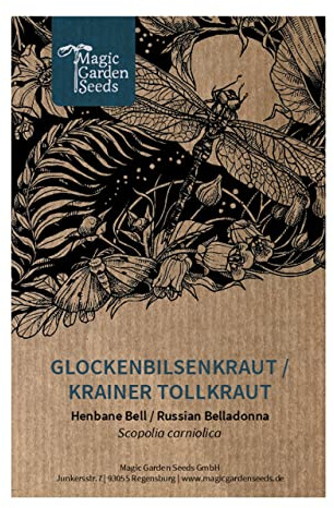 Glockenbilsenkraut/Krainer Tollkraut (Scopolia carniolica) - ca. 20 Samen mehrjährige Wildblume alte Heilpflanze Hexenkraut Giftpflanze