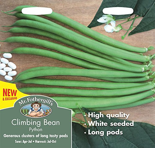 Mr Fothergill's Vegetable Seeds, Climbing French Bean Python, Green, 0.3 x 15 x 14.5 cm