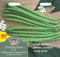 Mr Fothergill's Vegetable Seeds, Climbing French Bean Python, Green, 0.3 x 15 x 14.5 cm