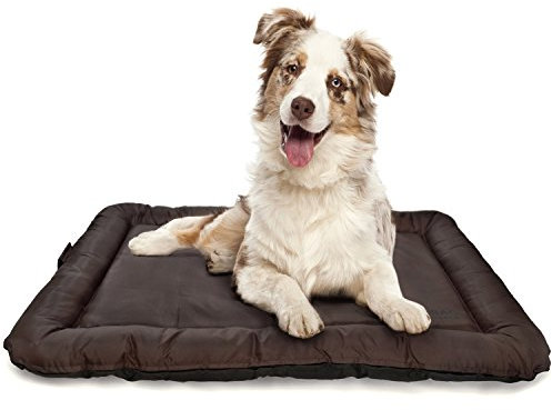 LAZY BAG Hundebett Indoor und Outdoor Hunde-Kissen Hunde-Körbchen; Schlafplatz für Hund & Katzen; Größe M (75 x 52 cm)