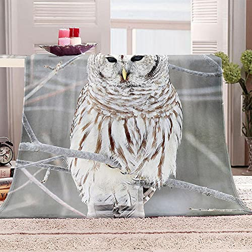 YTHSFQ Flanell Kuscheldecke 3D Drucken Weiße Eule Flauschige Warm Weich Microfaser Flanelle Fleecedecke, Falten-Beständig Wohndecke/Sofadecke Pflegeleicht 180x220 cm