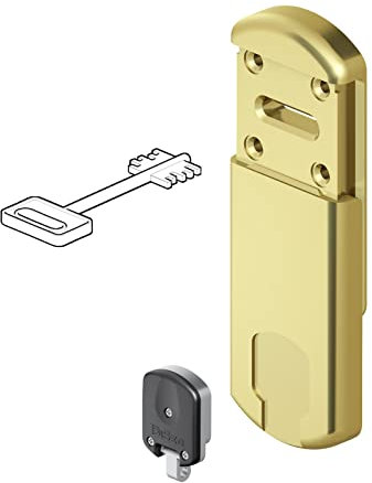 1PEZZO PROTECTOR MAGNETICO MG220 per DOPPIA MAPPA ORO LUCIDO PVD