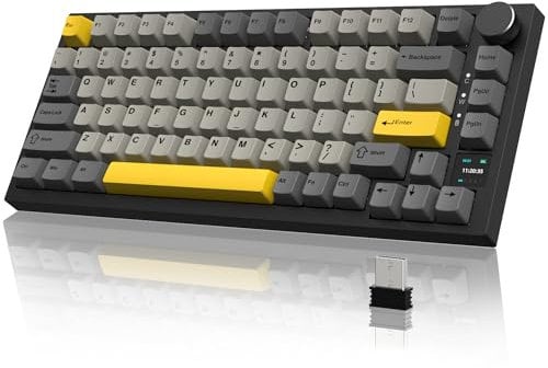 YINDIAO Ajazz AK820 PRO Mechanical Keyboard with TFT Smart Display&Knob,2.4G Wireless/BT5.1/USB-C Wired,75% ANSI Layout,5 Sound Absorbing Foams,Hot-Swap Linear Switch,RGB Backlit,for PC,MAC (Grey)