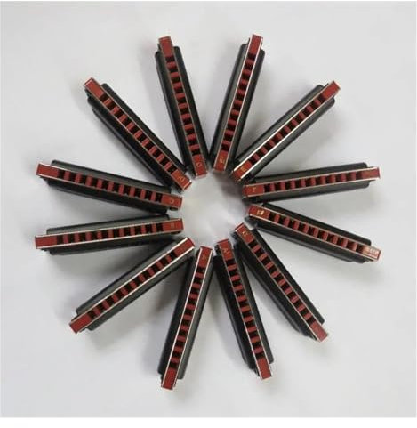 12-Tasten-Set, Blues-Harfe, Metall-Mundharmonika, diatonisch, schwarzes Cover für Anfänger Anfänger-Mundharmonika