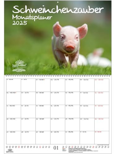 Schweinchenzauber Planer DIN A2 Kalender für 2025 Schweine Schweinchen - Seelenzauber