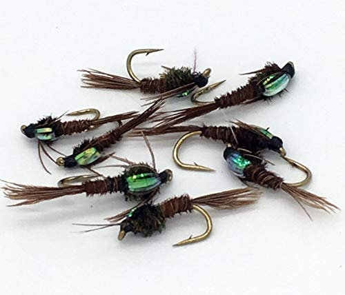 Fliegenfischen PHEASANT TAIL NYMPHS Flashback Set Größen 10-14 Acht fliegt PACK # 1