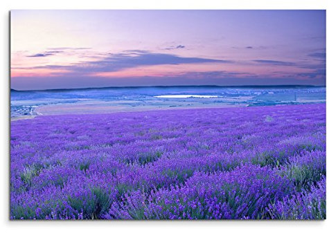 120x80cm Leinwandbild auf Keilrahmen Lavendel Wiese Abendrot Wandbild auf Leinwand als Panorama