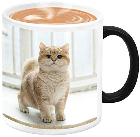 LA HUATE Custom Photo Coffee Mug, 11oz Heat Sensitive Color Changing Tea Cup, Personalized Hot Drink Cup w Picture, Text, Name, Best Novelty Gift, Black