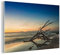 MuchoWow Glasbild Glasfoto Wandbild Bilder Deko 60x40 cm Ostsee - Zweig - Silhouette
