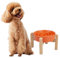 Elevated Slow Feeder Dog Bowl - Raised Ceramic Dog Bowl with Anti-Slip Stand - Fun Maze Dog Feeding Bowl for Fast Eater - Heavy Dog Food Dish - Designed for Small and Medium Dogs - Orange - 6.7 inch