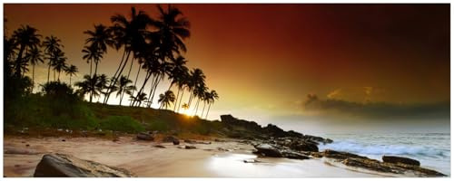 Wallario Küchenrückwand selbstklebend 115 x 50 cm, Motiv: Sri Lanka - Palmenstrand mit Sonnenuntergang | Spritzschutz abwischbar & pflegeleicht