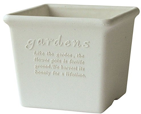 Hachiman Gardens Papier Eco Topf, quadratisch, 15 x 15 x 12,5 cm
