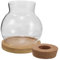 Alipis Chic Glass Hydroponic Vase Set with Bamboo Tray Perfect for Peace Lily Plant Indoor Office Desk Decor