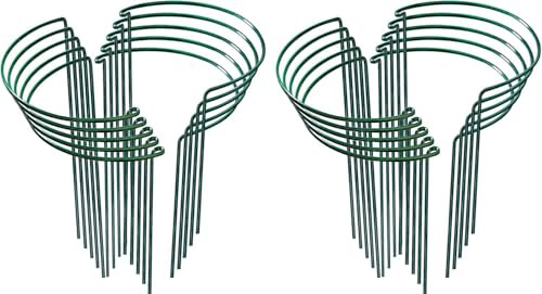 20 Stück Pflanzenstützen Staudenhalter Halbrund Groß 25x40cm,Robuste Metall Pflanzenhalter,Grün staudenstütze für Pflanzen, Hortensien, Pfingstrosen, Tomaten