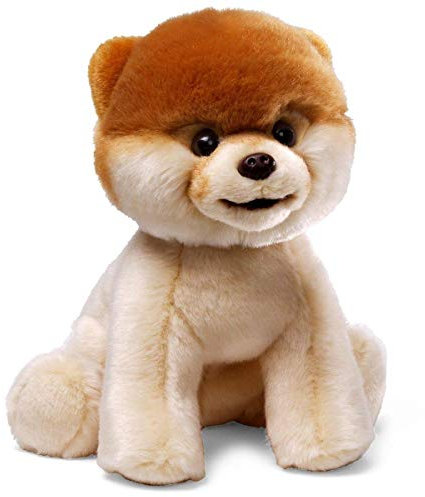 GUND Boo, The World’s Cutest Dog Plush, Realistic Pomeranian Stuffed Animal for Ages 1 and Up, 9”