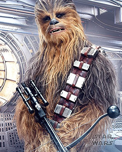 Poster Star Wars – Chewbacca – 40 x 50 cm
