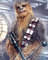 Poster Star Wars – Chewbacca – 40 x 50 cm