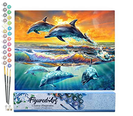 Figured'Art Peinture par Numéro Adulte Aube de Dauphins - Activité Manuelle Kit de Loisir Créatif DIY Numéro d'Art Complet - 40x50cm sans châssis en bois