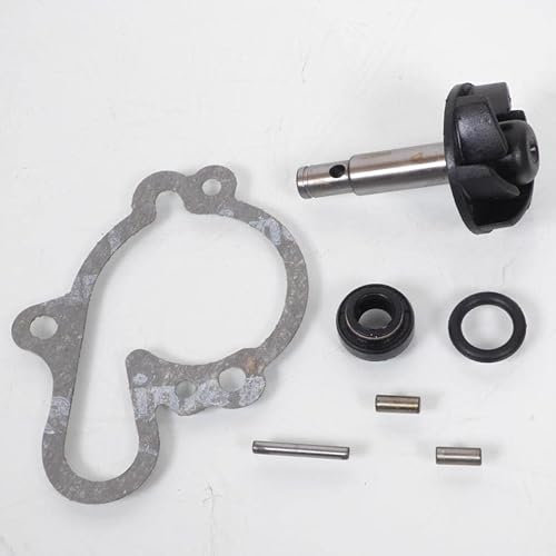 Bomba de Agua Moto Rieju 50 Mrx 2002-2006 Nuevo