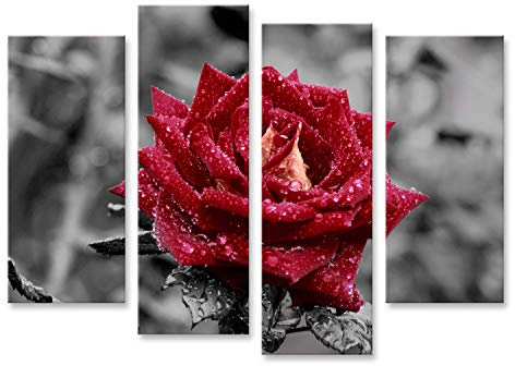 islandburner Quadro su tela Rosa rossa sfondo grigio Effetto colore grigio Quadri Stampe per soggiorno ufficio