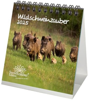 Wildschweinzauber Kalender für 2025 Format 10cm x 10cm Wildschwein Schwein Schweinchen - Seelenzauber