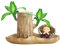 Brazil Lucky Wood - Pianta In Legno Brasiliano | Germogliare Legno Fortunato | Legno Portafortuna In Ceramica | Ceppo Di Legno, Pianta In Vaso, Piante Fortunate Da Interno Per Deskt