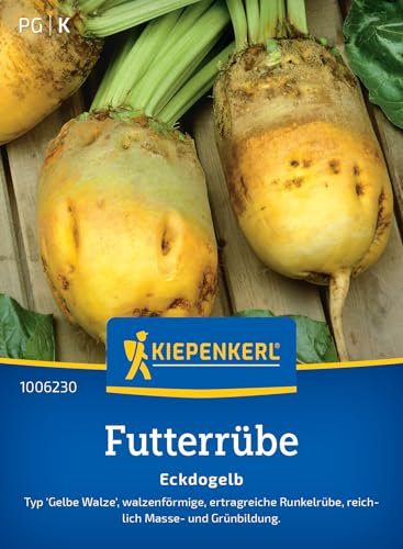 Kiepenkerl Futterrübensamen Eckdogelb 1006230 – walzenförmige, ertragreiche Runkelrübe mit Masse und Grünbildung - Gemüsepflanzen, Saatgut, Samen Gemüse