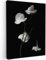 MuchoWow© Quadro su Tela 50x70 cm Stampe da Parete Quadri Cucina Camera da Letto Dipinto Arredamento Casa Orchidea - con Fiori - Nero - Bianco - Natura morta