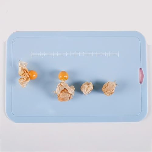 Tagliere Trasparente Cucina con Bordo Tagliere Trasparente Tagliere da Cucina Spesso colorato con Manico Tagliere in plastica Colorata(Color:b,Size:B)