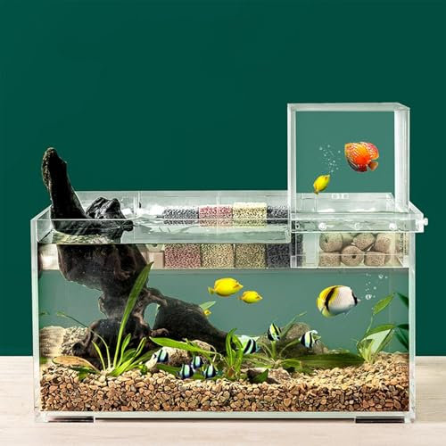 Aquarium à pression négative – Nano aquarium avec filtre et lumière | Aquarium rectangulaire avec lumière LED | Entretien uniforme de l'eau | Aquarium suspendu sous vide