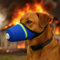 Atemschutzmaske für Hunde, atmungsaktive Luftfiltermasken für Hunde, Maulkorb für Hunde, wiederverwendbare Hundegasmaske, Rauch, um Tiere vor Luftverschmutzung Wildfeuer zu schützen (Himmelblau, groß)