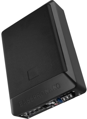 Realdio Subwoofer Attivo Sottosedile 1000W, Compatto e Chiuso, Nero | Amplificatore Integrato, Struttura Salvaspazio Compatibile con Diversi Modelli Auto per Bassi Profondi, Musica e Guida