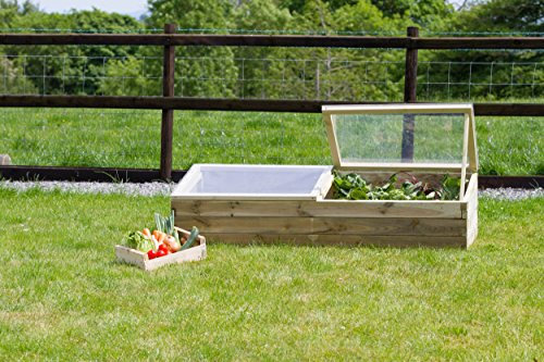 Zest4Leisure Sleeper Cold Frame - FSC Certified Pressure Treated Wood