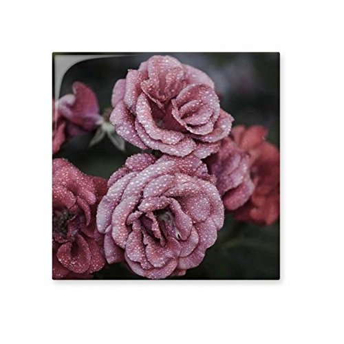 Old Pink Roses Flowers Ceramic Bisque Tiles Bathroom Decor Kitchen Ceramic Tiles Wall Tiles