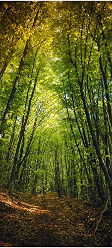 wandmotiv24 Türtapete Dunkler Weg im Wald 70 x 200cm (B x H) - Dekorfolie selbstklebend Sticker für Türen, Türfolie, Aufkleber, M0923