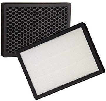 NOATON Filtro Combinado HEPA + Carbón Activo de Repuesto DF 4123