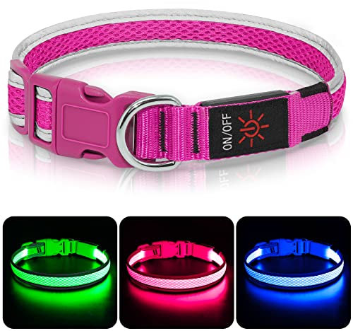 Leuchthalsband Hund, Colaseeme LED Hunde Leuchthalsband, Wasserdicht Hundehalsband Leuchtend, HundeleuchthalsbäNder Aufladbar für Pet Night Walking Safety, rosa M