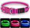 Leuchthalsband Hund, Colaseeme LED Hunde Leuchthalsband, Wasserdicht Hundehalsband Leuchtend, HundeleuchthalsbäNder Aufladbar für Pet Night Walking Safety, rosa M