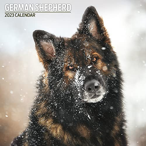 Magnet & Steel Shepherd Traditioneller Kalender 2023, mehrfarbig
