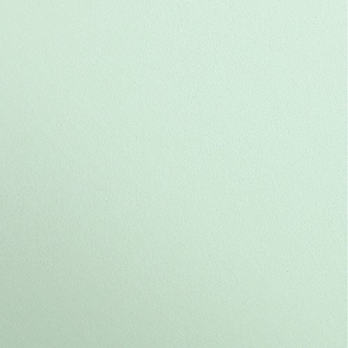 Clairefontaine 97168C Tonzeichenpapier Pack, 25 Bögen Premium, 50 x 70 cm, 120 g, minze