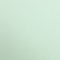 Clairefontaine 97168C Tonzeichenpapier Pack, 25 Bögen Premium, 50 x 70 cm, 120 g, minze
