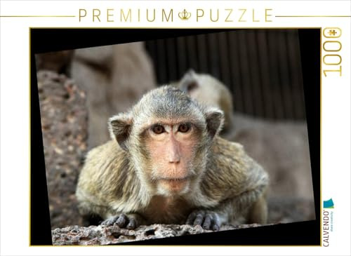 CALVENDO Puzzle Thailand, AFFE in Lopburi | 1000 Teile Lege-Größe 64 x 48 cm Foto-Puzzle für glückliche Stunden