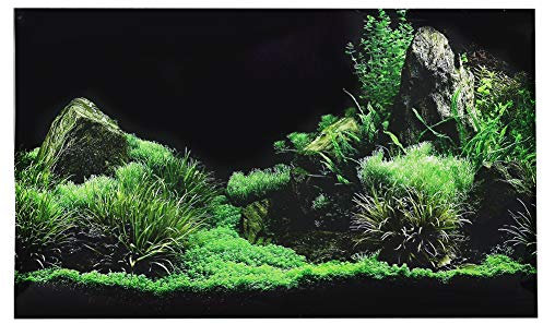 3D Effekt Meeresboden Wasser Gras Poster Selbstklebende Reptilien Terrarium Aquarium Hintergrund Aquarium Wandaufkleber Aquarium Hintergrund Unterwasser Poster PVC Dekor Tapete (122 x 46 cm)